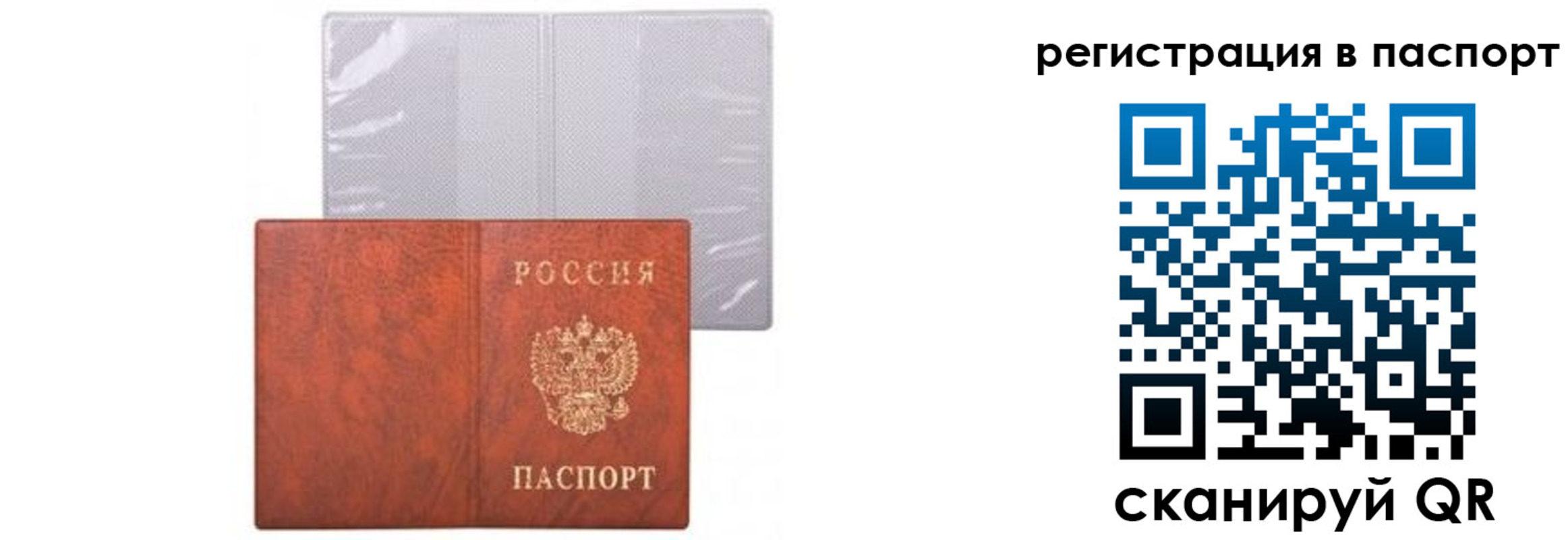 прописка ребенка в Торжоке